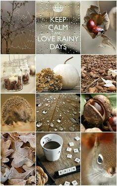 Moodboard mamily nov20