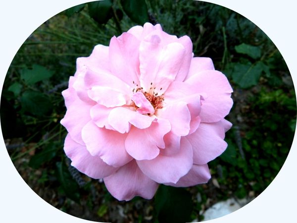 P1090818