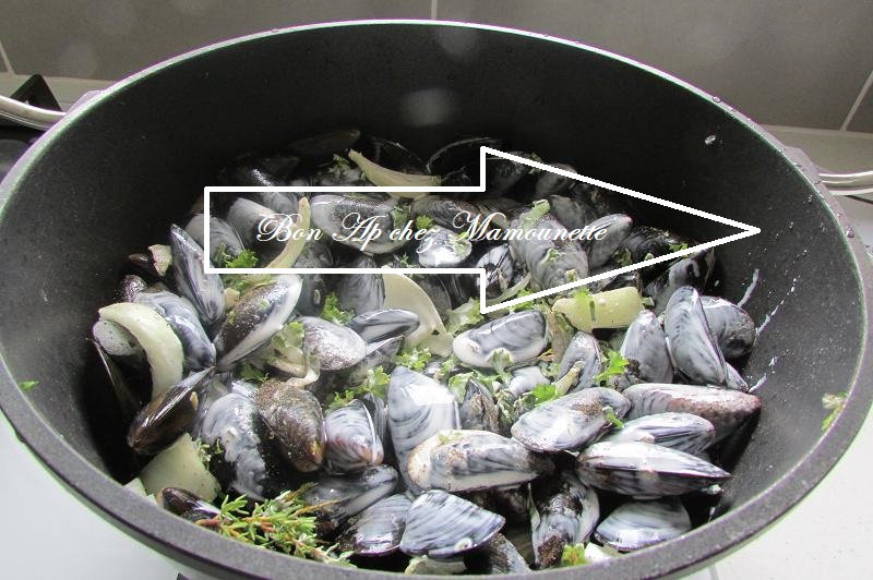 Moules bouchot 001-