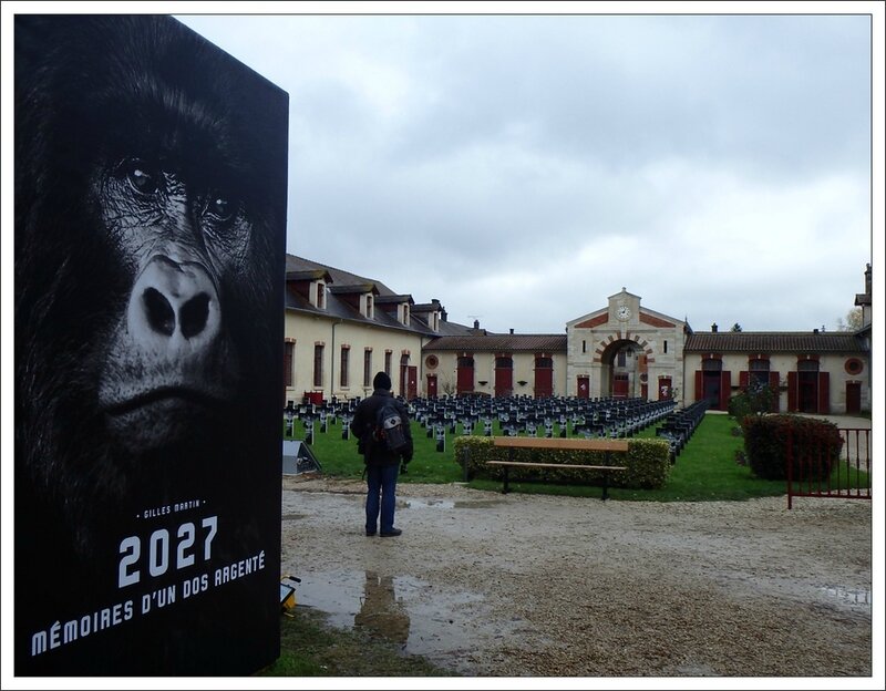 Montier expo Extinct Gorilles affiche cimetiere