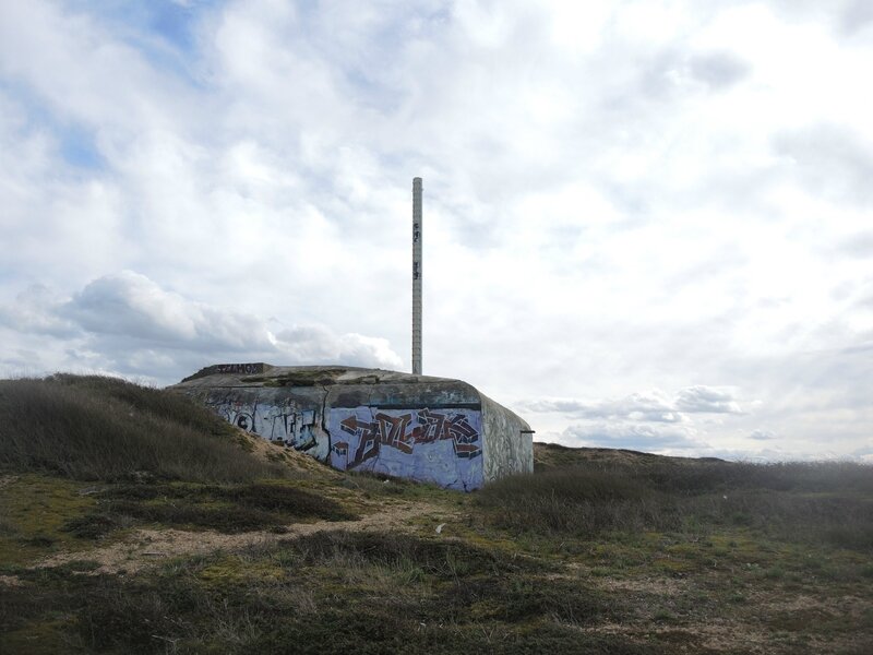 Tarnos, champ des blockhaus, cheminée (40)