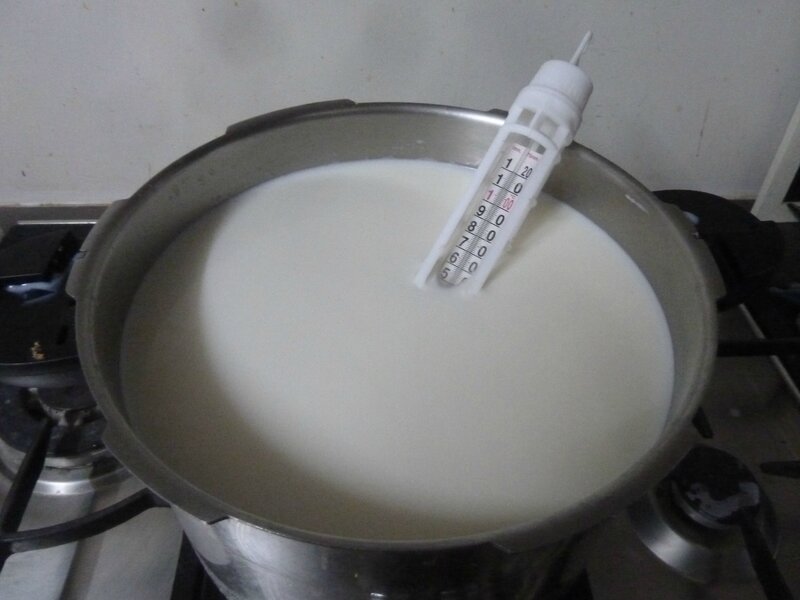 25-1-fromage maison-chauffer le lait (4)