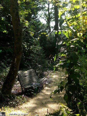 7407_Vieux_banc