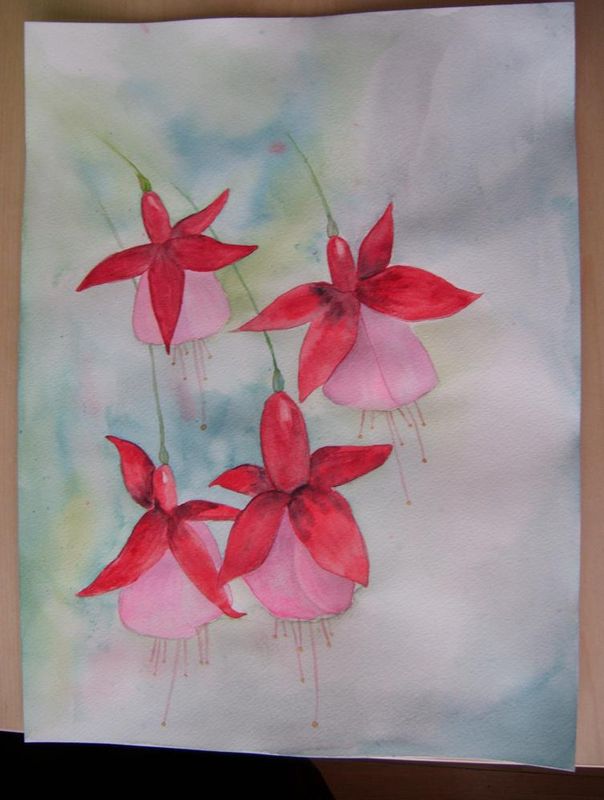 aquarelle fushias 014