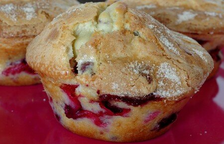 DSC_7821_Brioche_express_fruits_rouges