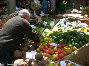 9040_Fruits_et_l_gumes