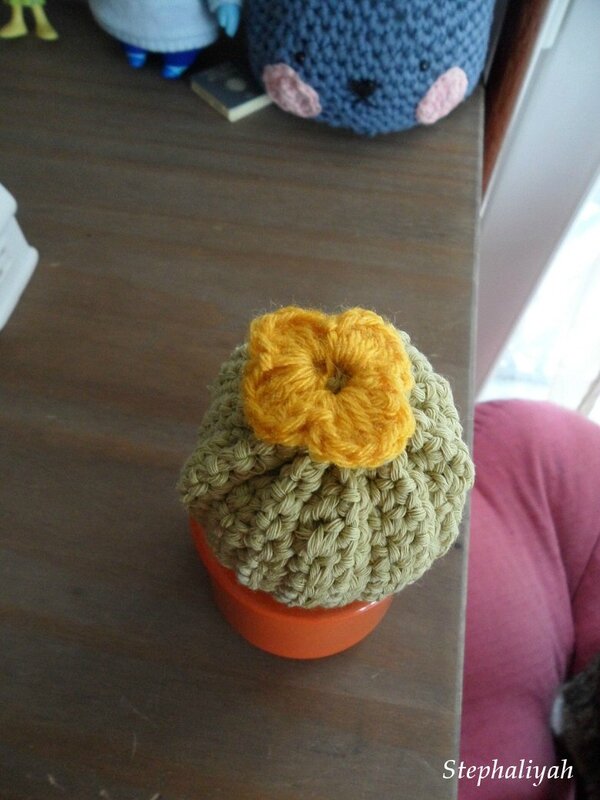 Cactus crochet pour nadine - 2