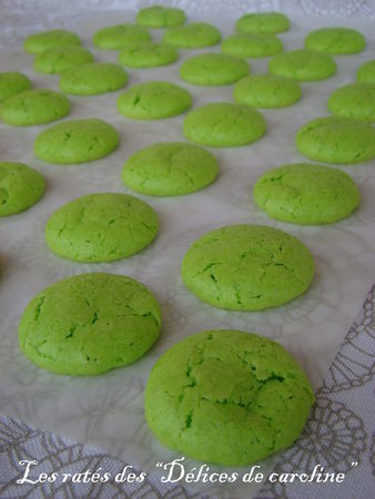 Tout avait pourtant bien commencé… Tout avait pourtant bien commencé…