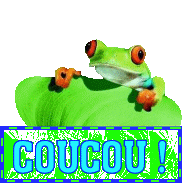 coucou_grenouille