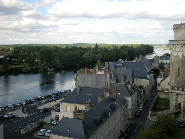 Amboise vue Loire cour 12