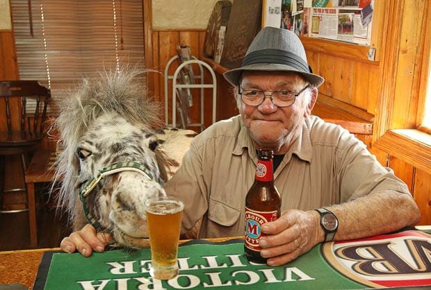 horse-beer_1923273i-1