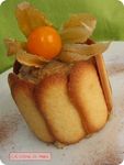 Charlotine_aux_Marron_2