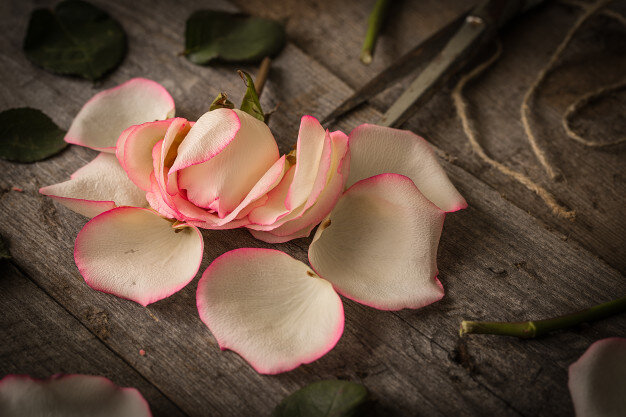 rose