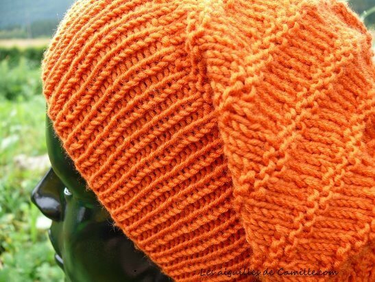 Bonnet Vitamine , GP cotes et point