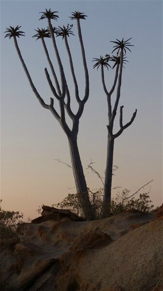 P1070064