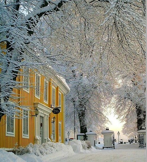 01_hiver_Aurore boréale_Suède (7)