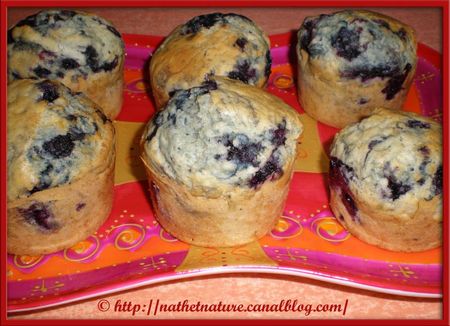 American blueberry muffins - 2