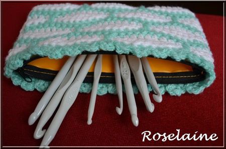 Roselaine232 Trousse crochet