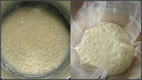 tofu maison2