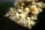 trees_burning_in_the_amazon_deforestation