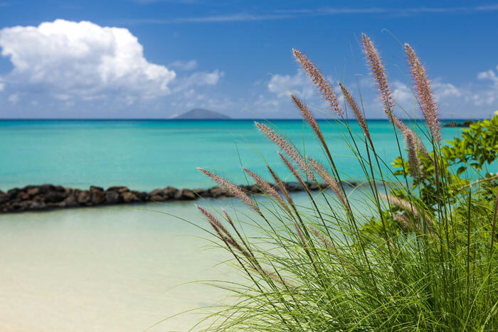 plage de grand gaube