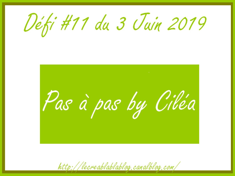 Défi #11