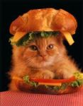 chat_burger