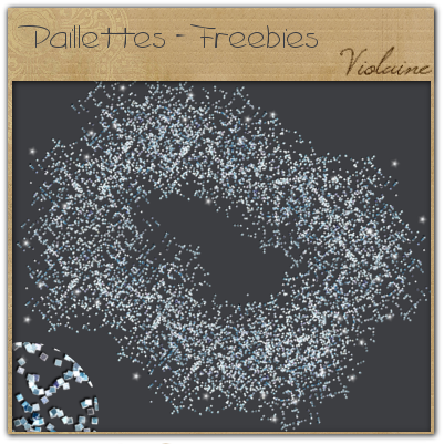 ViolaineM_d_tail_paillettes