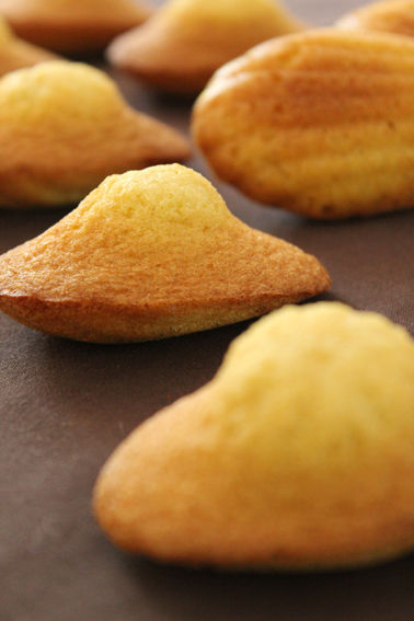 madeleines___bosses_2