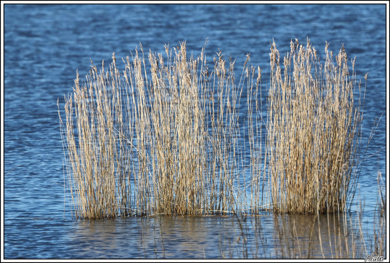 un muret naturel