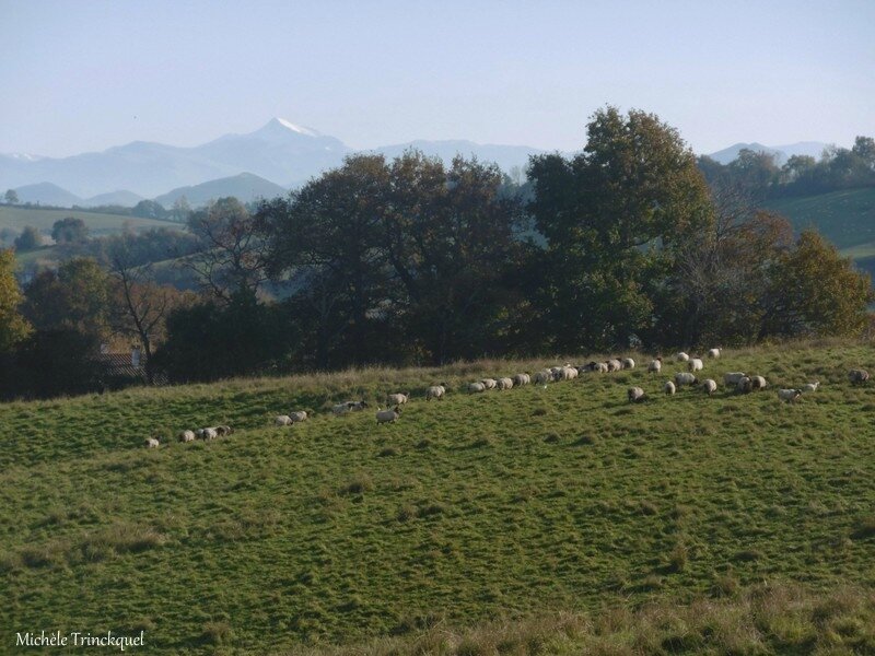 Labastide Clairence et Pyrénées 201117