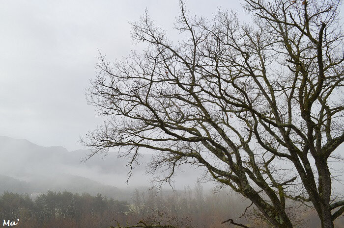 180318_brouillard
