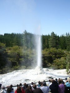 Rotorua_geyser_Lady_Knox