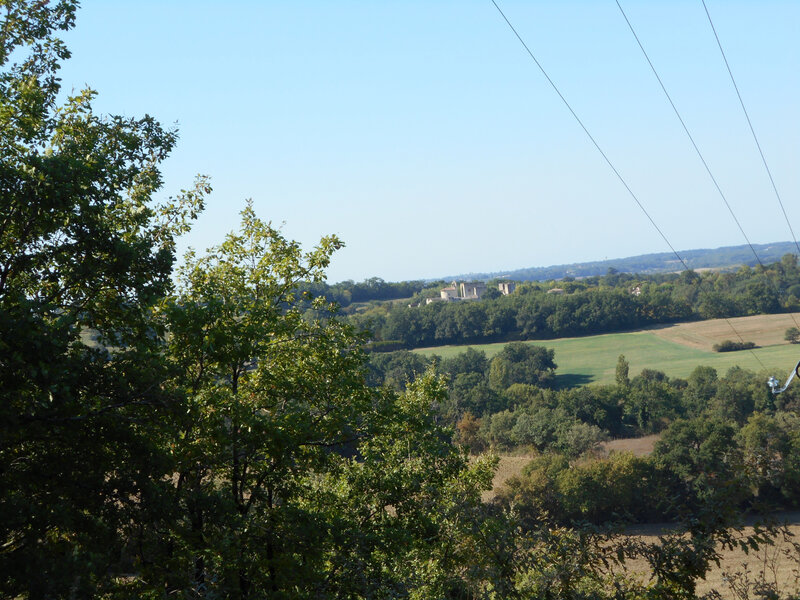 20200914_112500 (2)