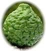 combava