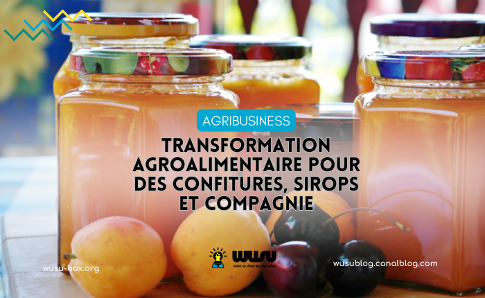 agribusiness-confitures-alimentaire-winnie-ndjock-wusu-box-2023