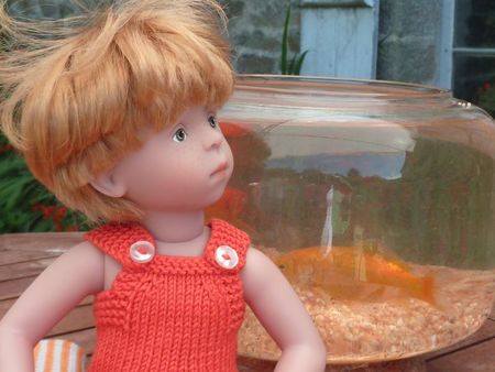 poisson rouge 017