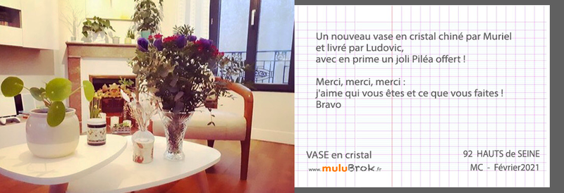 21-2-VASE-CRISTAL-muluBrok