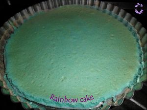 1011 Rainbow cake 2