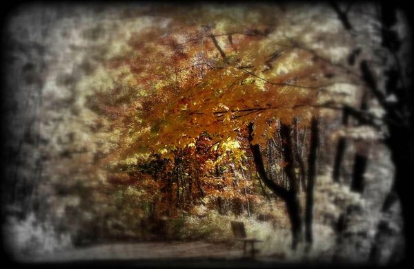 automne2