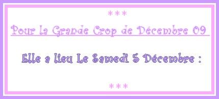 _1A_Annonce_sur_blog_Crop_5_dec_09_