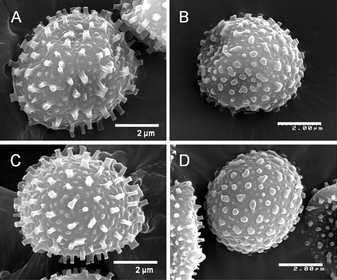 Fig 6