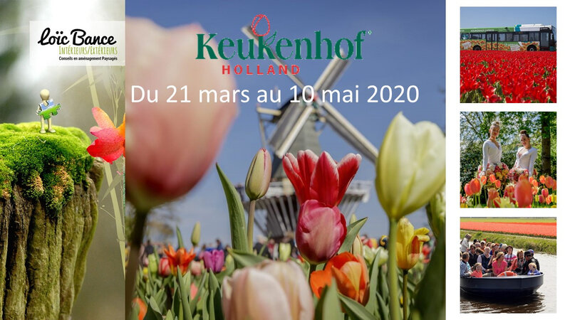 Paysagiste-Pays-Basque-Paysagiste-Landes-Loic-BANCE-Agenda-Keukenhof-tulipes-hollande