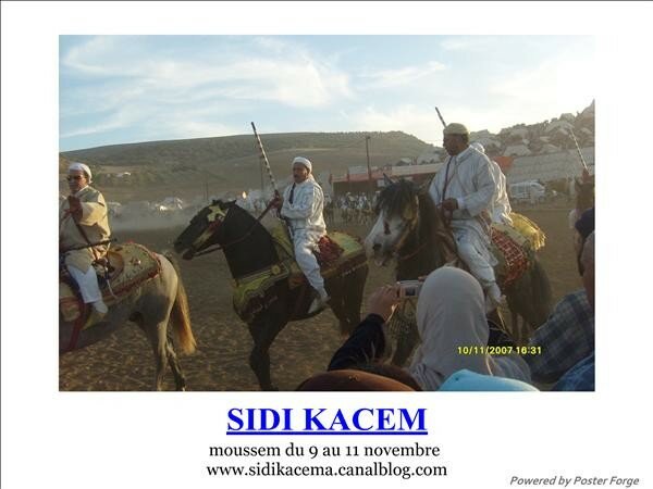 moussem_de_sidi_kacem_ph15