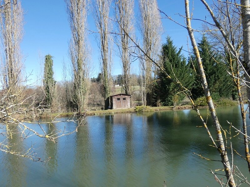 P1000554