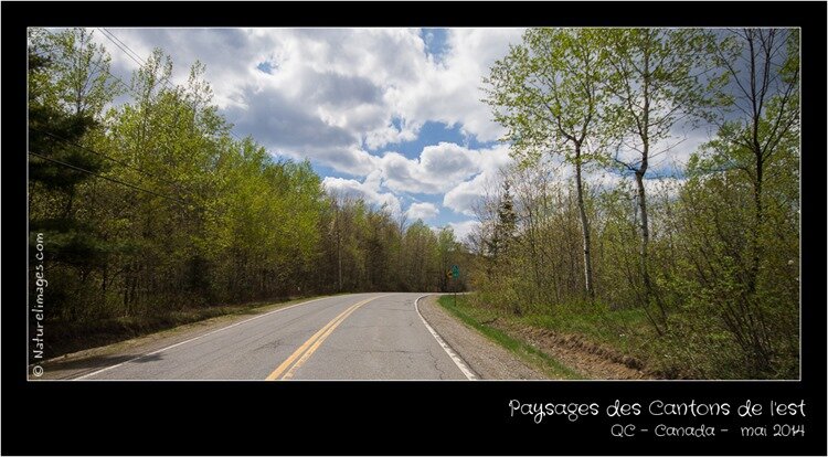 IMG_2562-naturelimages.com