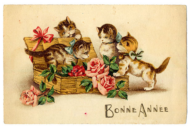 carte postale ancienne chat voeux
