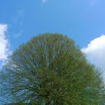 2013-05-0517