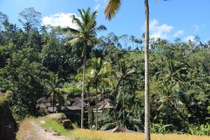 Temples - Gunung Kawi (10)