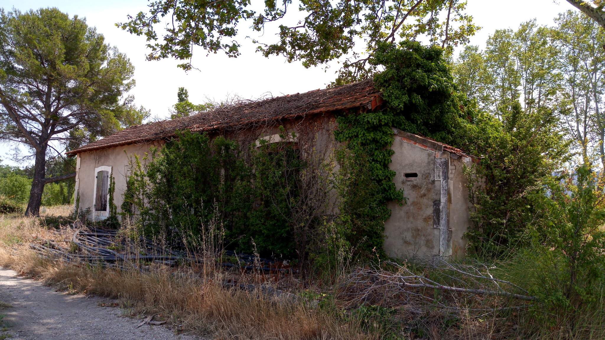 Les Agriottes (Bouches-du-Rhône - 13) 2